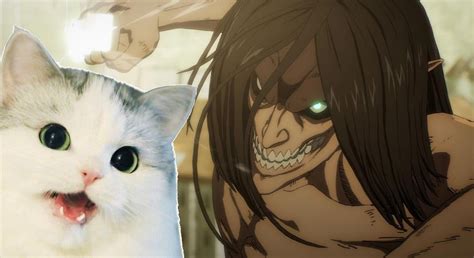 attack on titan cats